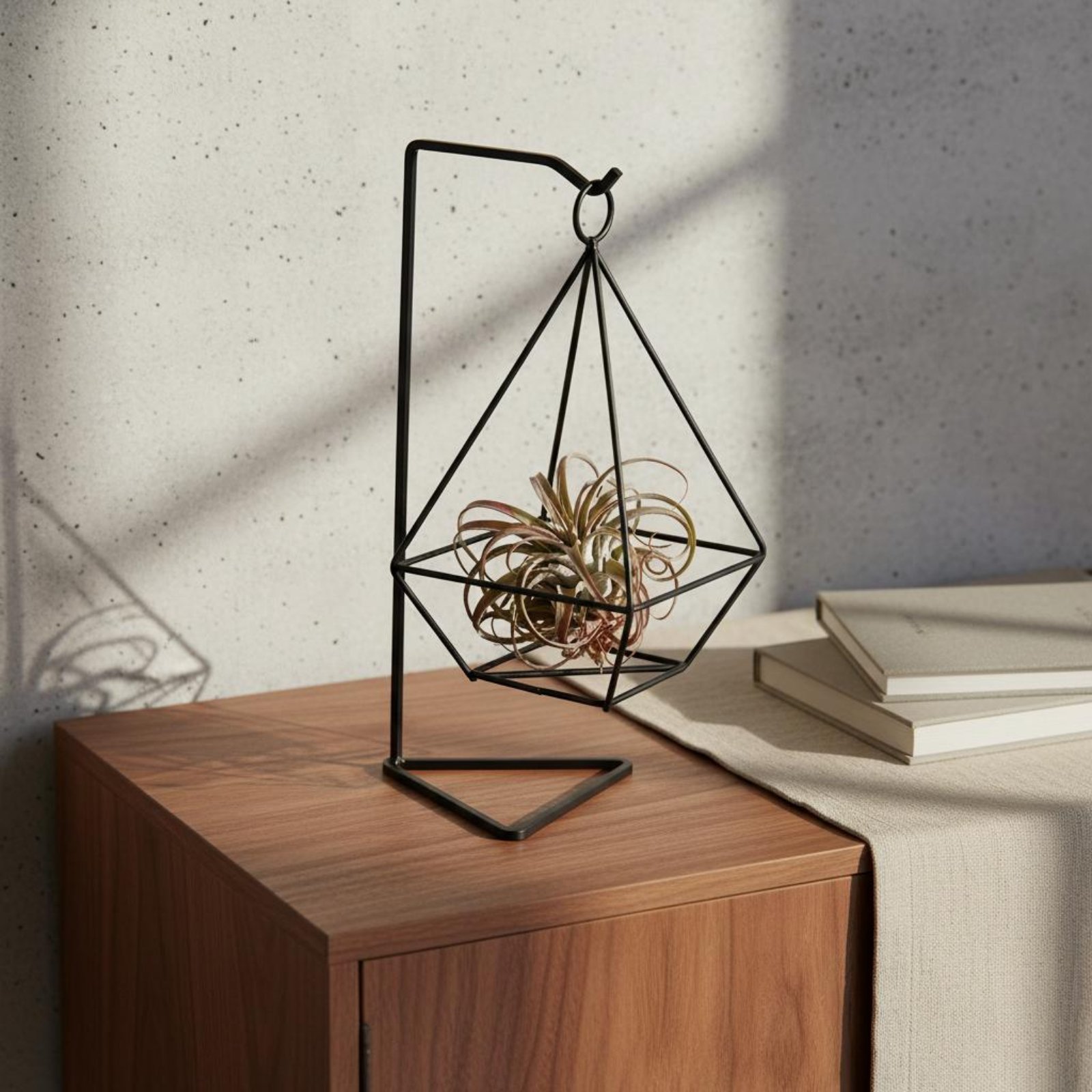 Air Plant Tillandsia - Soporte Geométrico para Plantas Aéreas, Diseño
