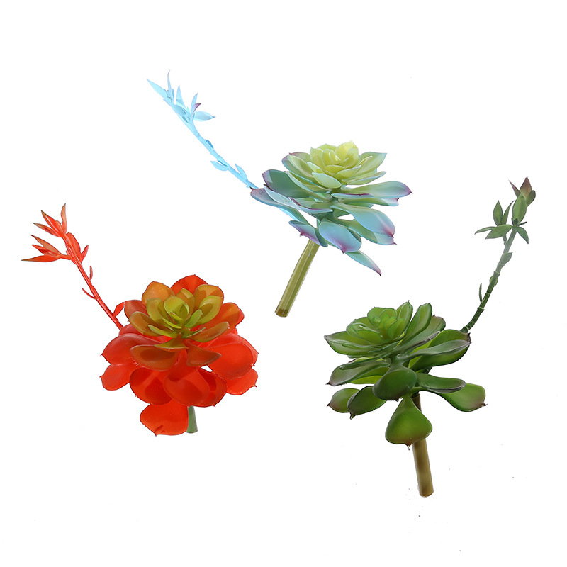 Succulent Arrangement Mini - Wusmart Zhong Shi Lian plantas suculentas
