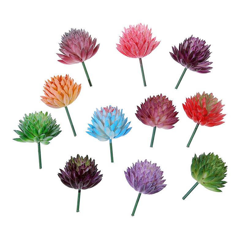 Succulent Arrangement Mini - Wusmart Ji Wa Lian plantas suculentas