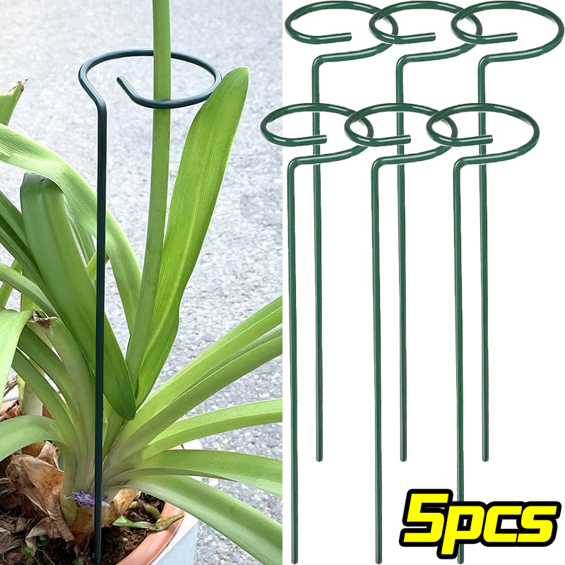 Anillo de estaca de soporte pa - Plant Parent Tools reseña y precio