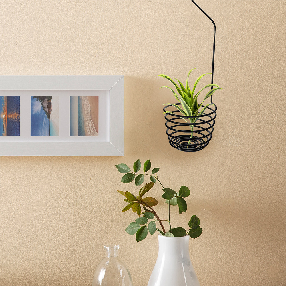 3 Ganchos Espirales Metálicos  - Air Plant Tillandsia reseña y precio