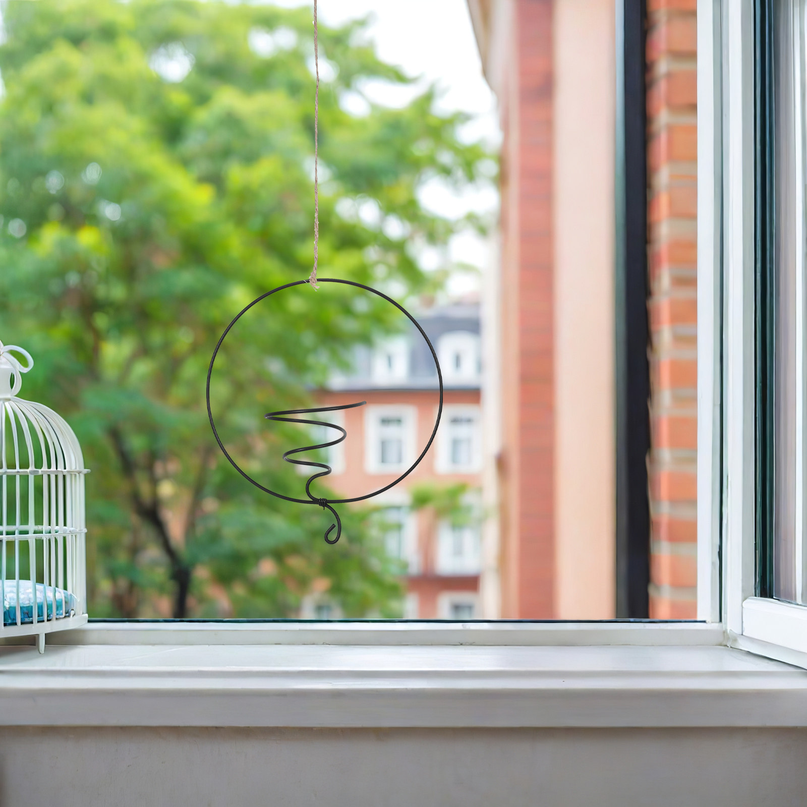 Soporte para Plantas Aéreas, 6 - Air Plant Tillandsia reseña y precio