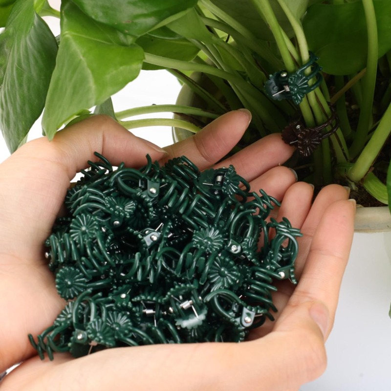 Clips de Soporte para Plantas  - Plant Parent Tools reseña y precio