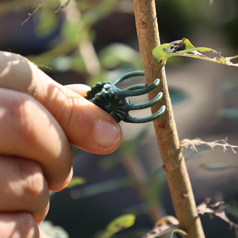 Clips de Soporte para Plantas  - Plant Parent Tools reseña y precio