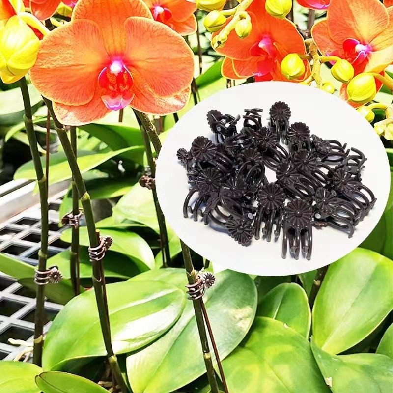 Clips de Soporte para Plantas  - Plant Parent Tools reseña y precio