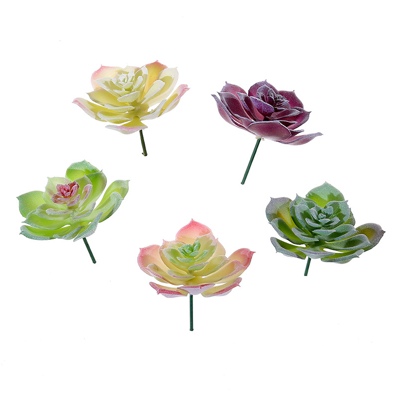 Wusmart-plantas suculentas art - Succulent Arrangement Mini reseña y precio