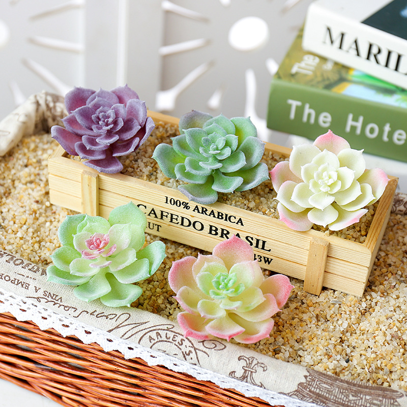 Wusmart-plantas suculentas art - Succulent Arrangement Mini reseña y precio