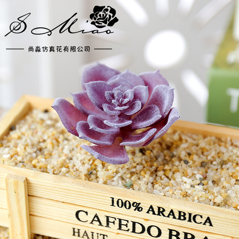 Wusmart-plantas suculentas art - Succulent Arrangement Mini reseña y precio