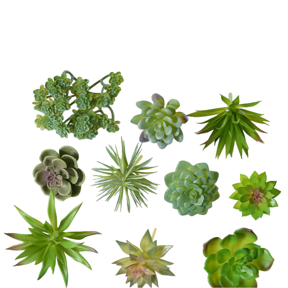 Arreglo de Suculentas en Estil - Succulent Arrangement Mini reseña y precio
