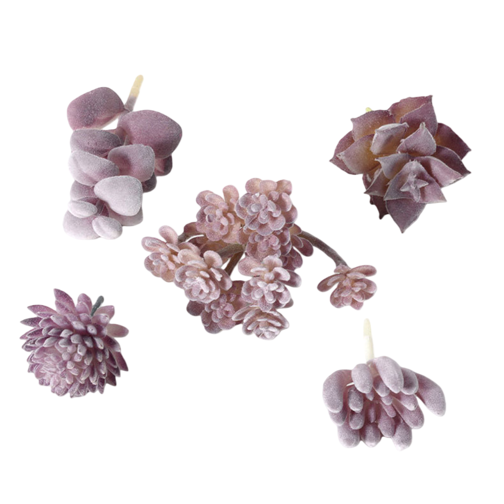 Arreglo de Suculentas en Estil - Succulent Arrangement Mini reseña y precio