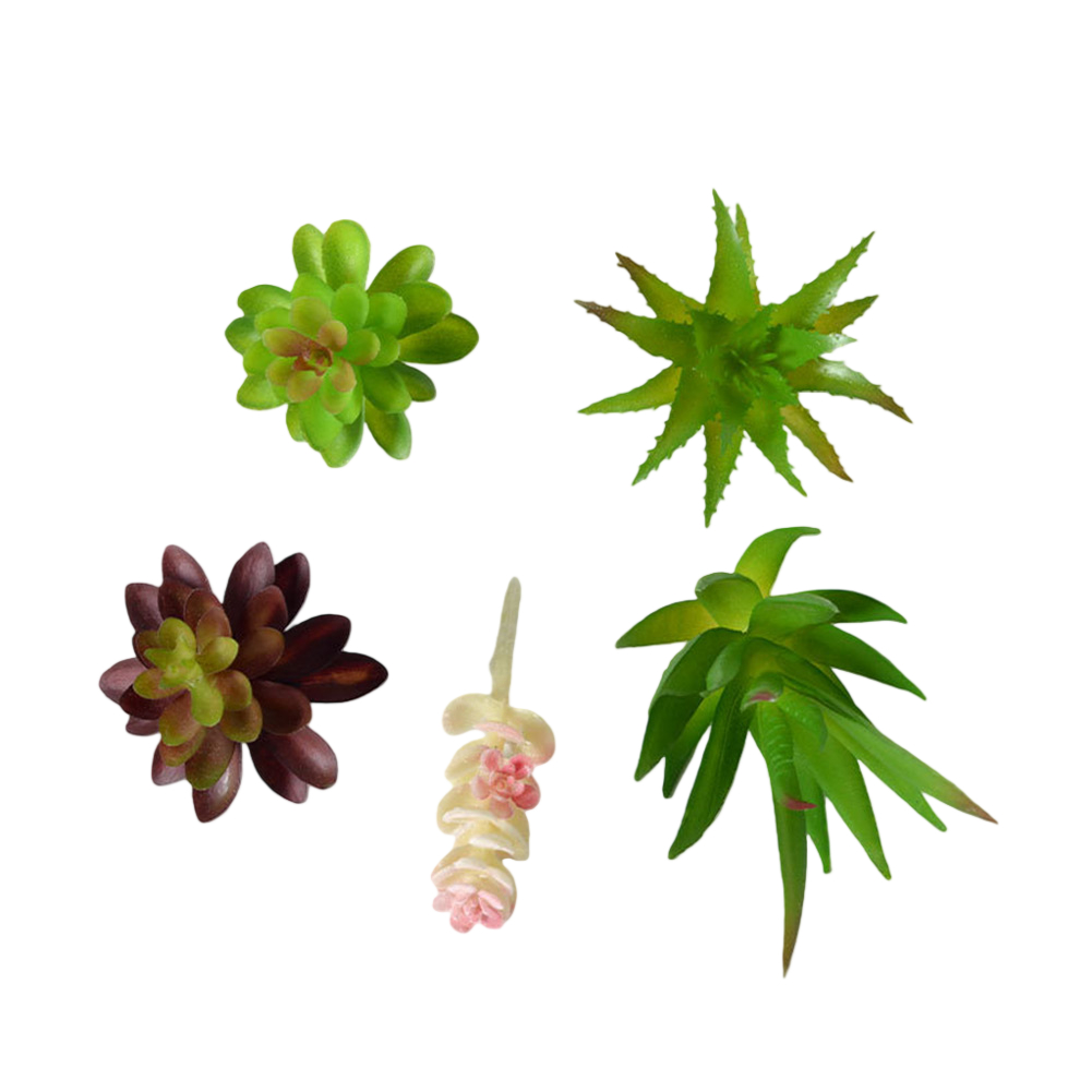 Arreglo de Suculentas en Estil - Succulent Arrangement Mini reseña y precio
