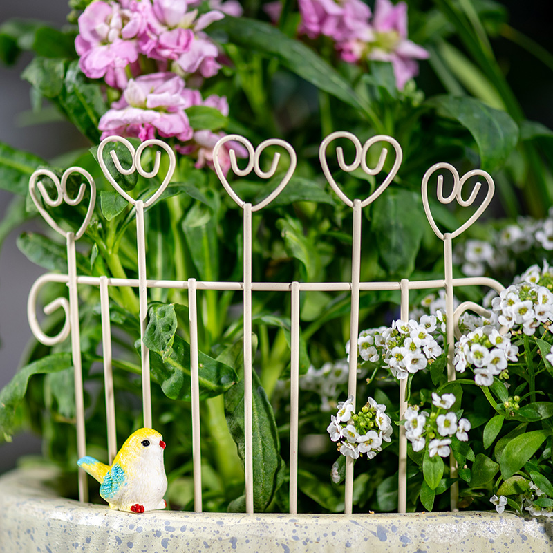 Mini Cerca Decorativa de Hierr - Succulent Arrangement Mini reseña y precio