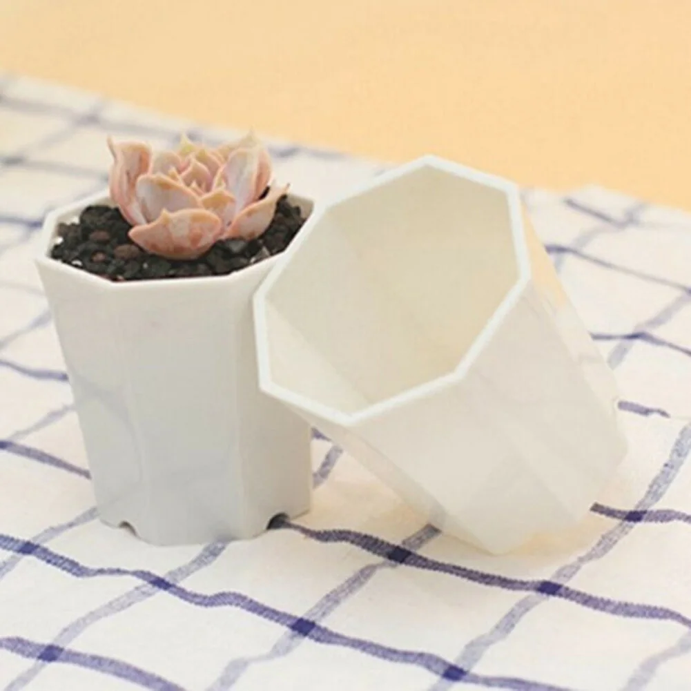 10 Macetas de Plástico Pequeña - Succulent Arrangement Mini reseña y precio