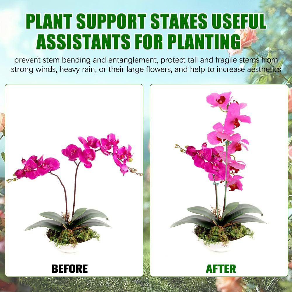 Soporte para plantas, 5/10 Uds - Plant Parent Tools reseña y precio