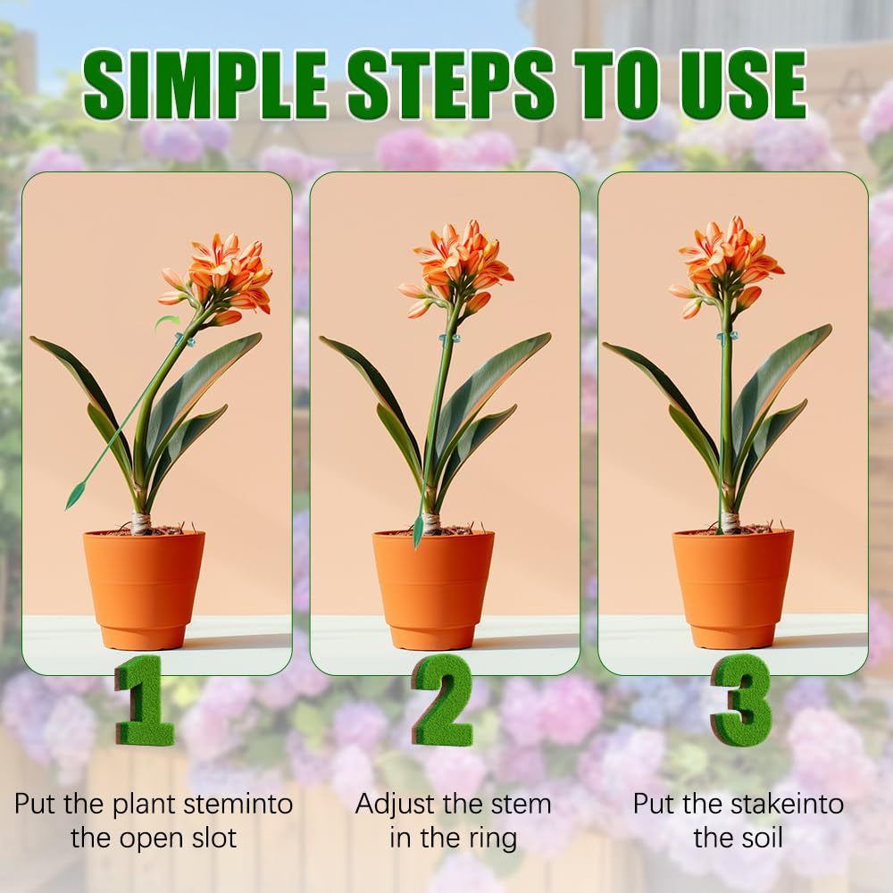 Soporte para plantas, 5/10 Uds - Plant Parent Tools reseña y precio