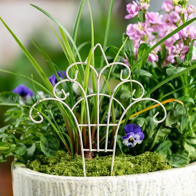 Mini Cerca de Hierro con Diseñ - Succulent Arrangement Mini reseña y precio