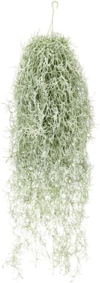 Plantas artificiales flocadas  - Air Plant Tillandsia reseña y precio
