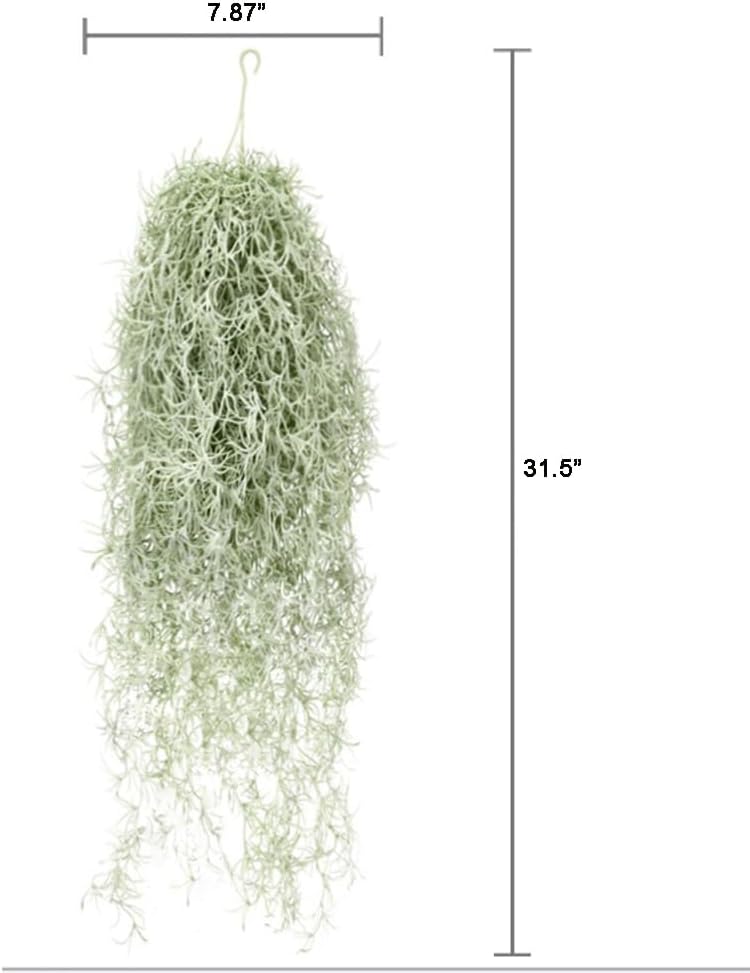 Plantas artificiales flocadas  - Air Plant Tillandsia reseña y precio