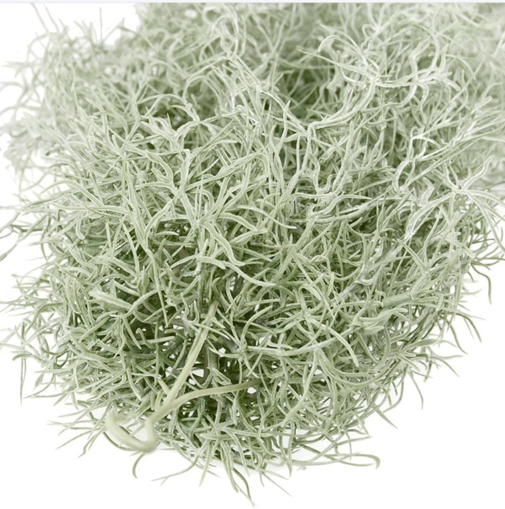 Plantas artificiales flocadas  - Air Plant Tillandsia reseña y precio