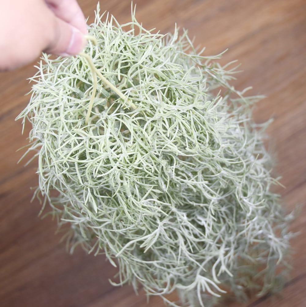 Plantas artificiales flocadas  - Air Plant Tillandsia reseña y precio