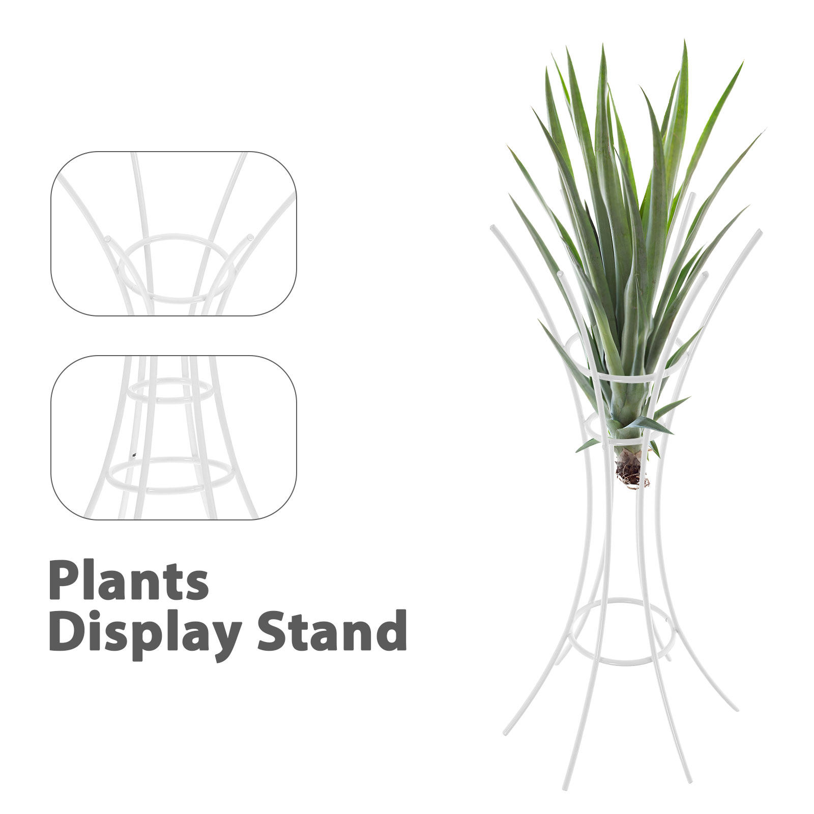 Soporte de Metal para Plantas  - Air Plant Tillandsia reseña y precio