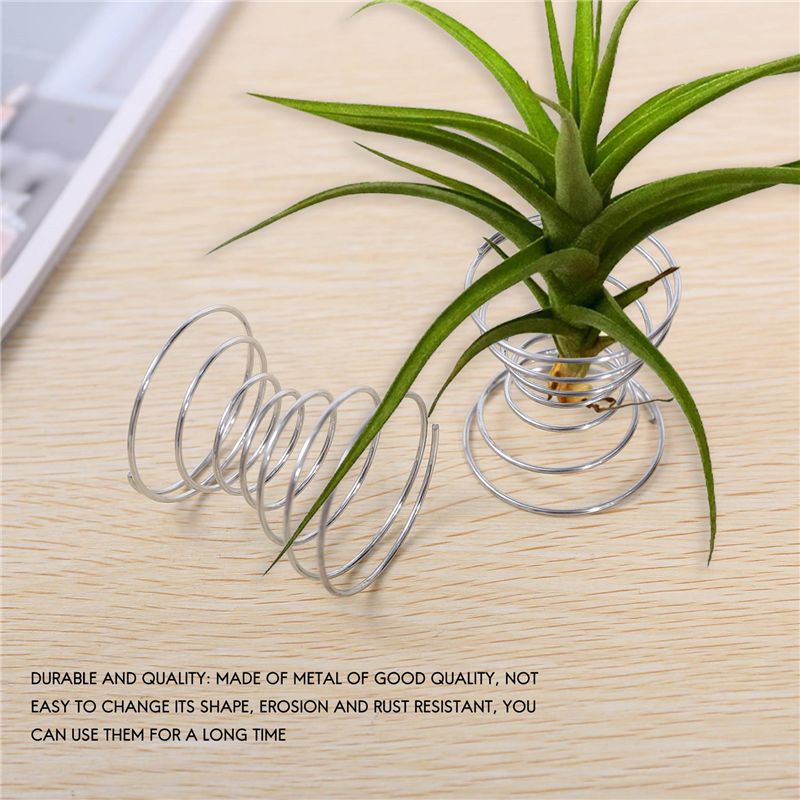 Soporte para Plantas Aéreas, J - Air Plant Tillandsia reseña y precio