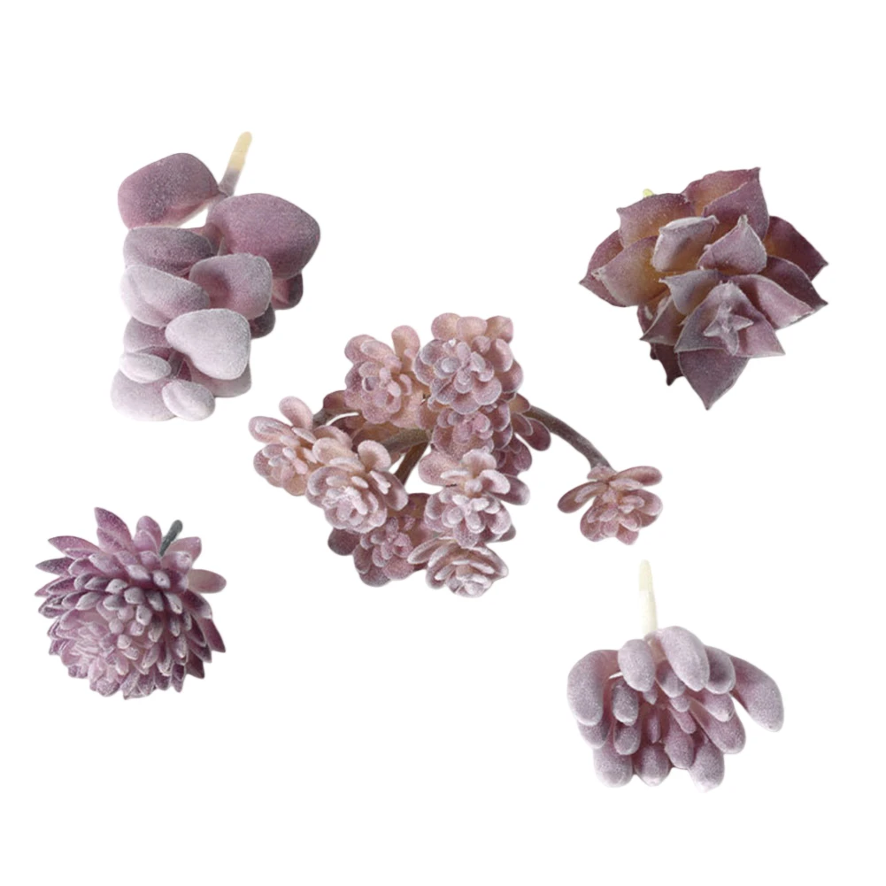 Bajo mantenimiento para arregl - Succulent Arrangement Mini reseña y precio