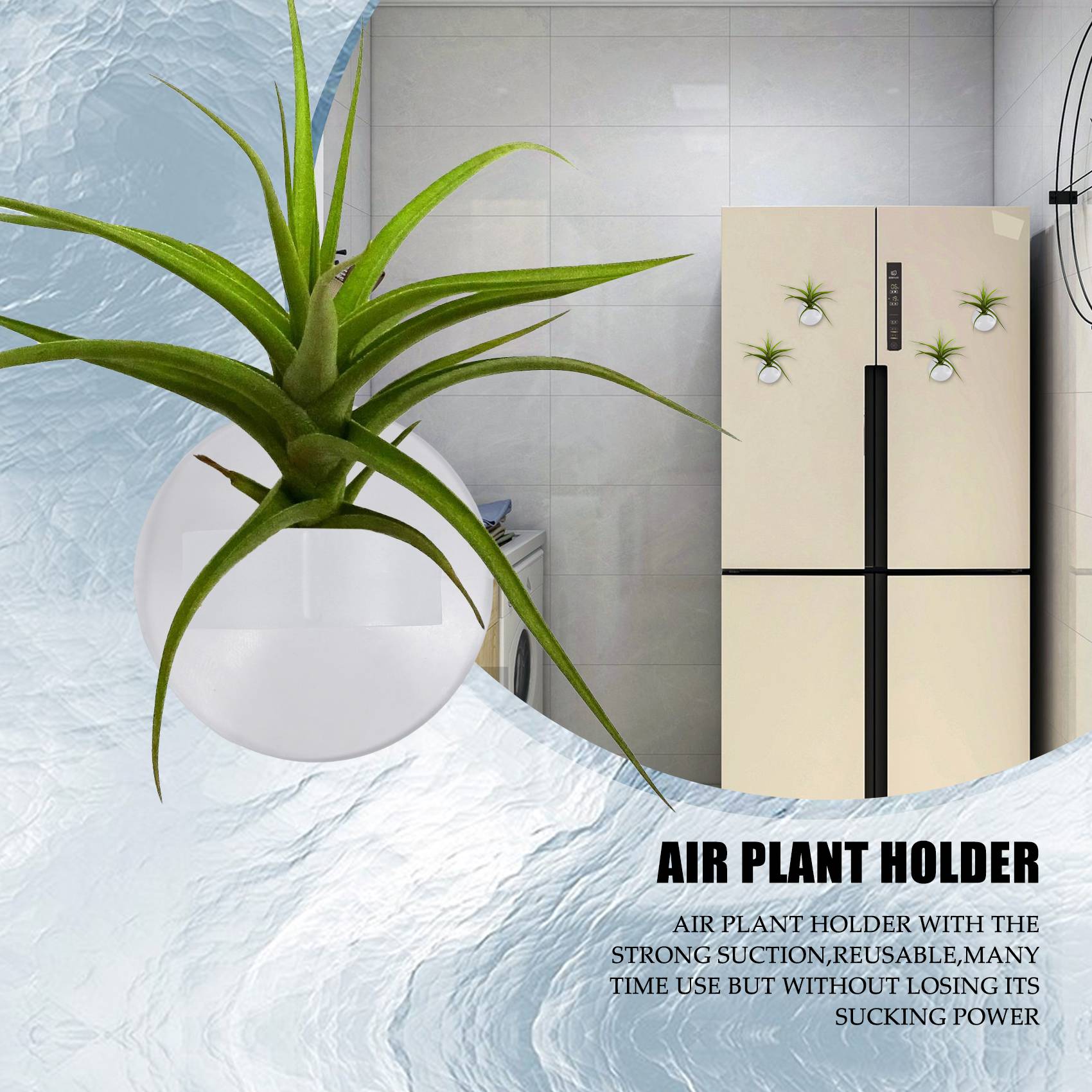 AC76-20 Soportes para Plantas  - Air Plant Tillandsia reseña y precio