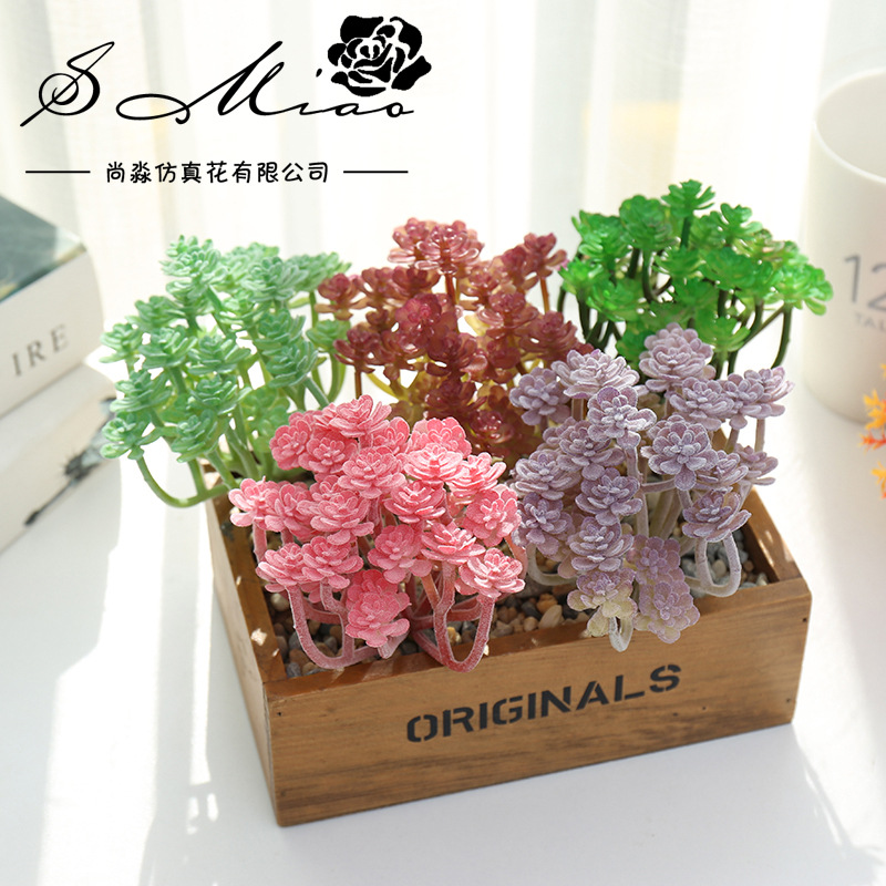 Wusmart-plantas suculentas art - Succulent Arrangement Mini reseña y precio
