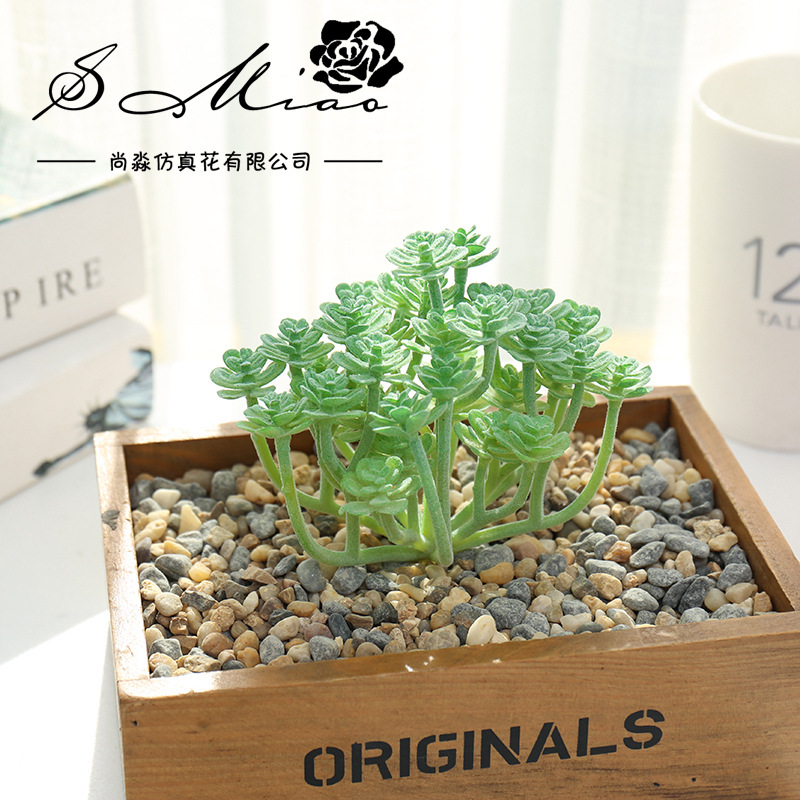 Wusmart-plantas suculentas art - Succulent Arrangement Mini reseña y precio