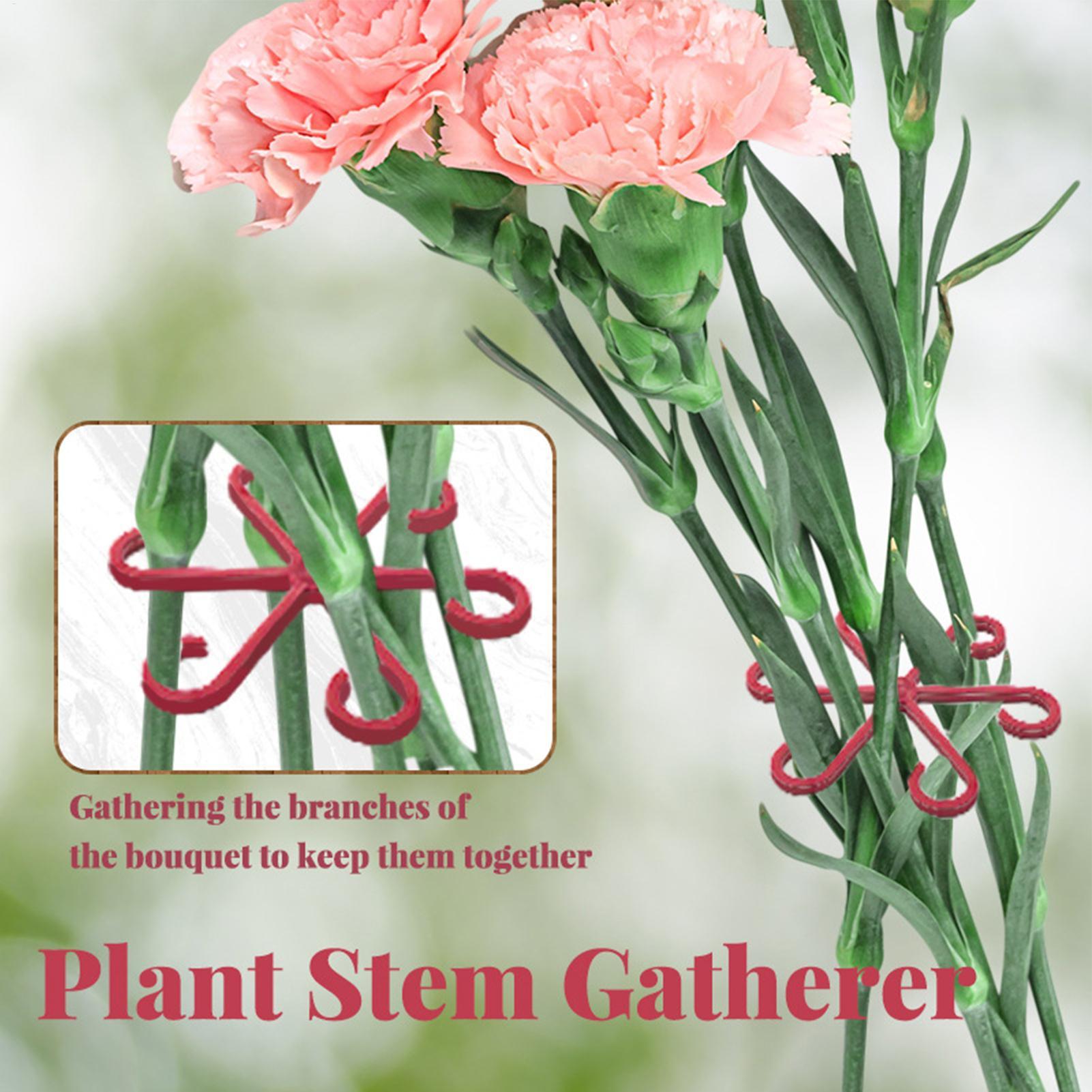 Juego de 4 clips de sujeción p - Plant Parent Tools reseña y precio