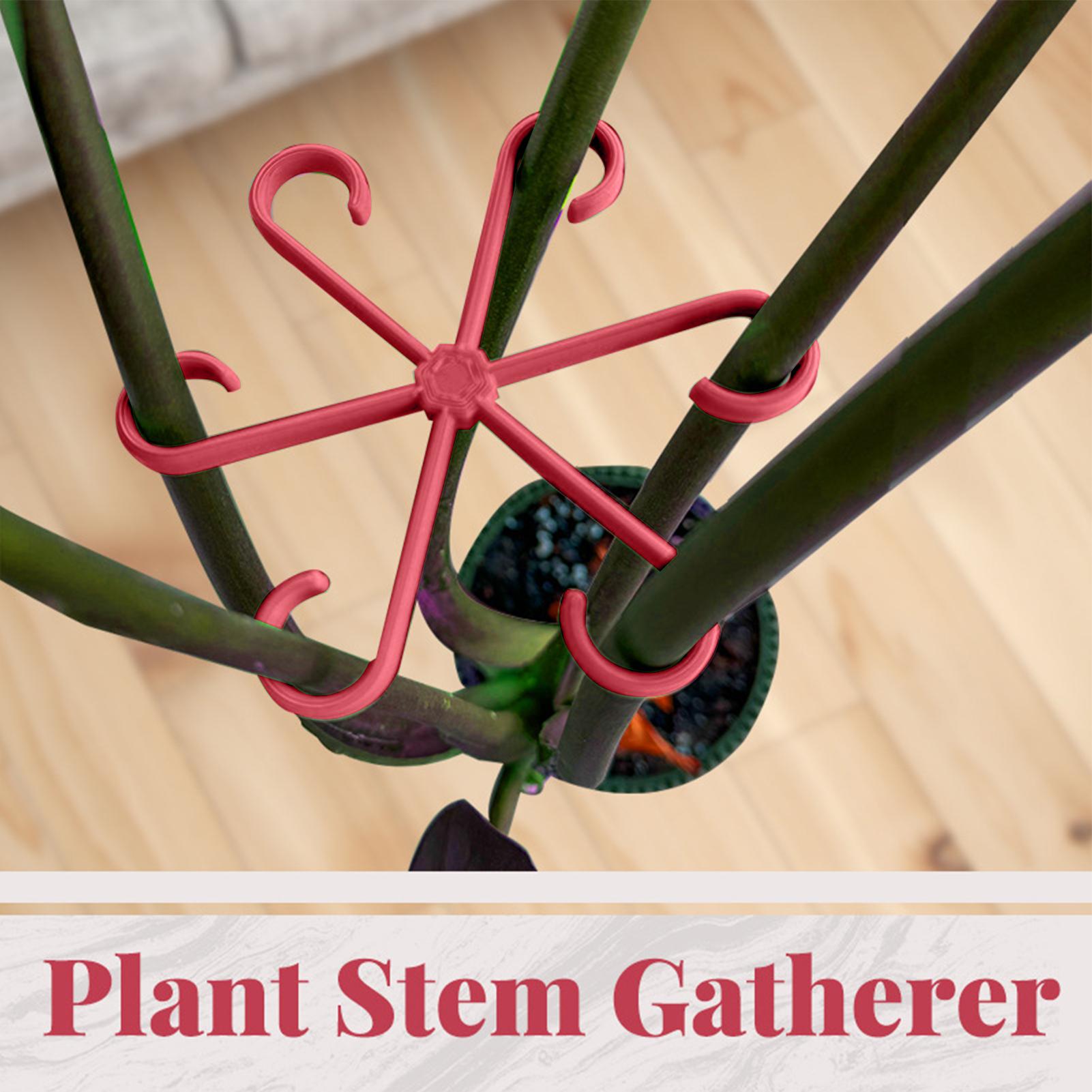Juego de 4 clips de sujeción p - Plant Parent Tools reseña y precio