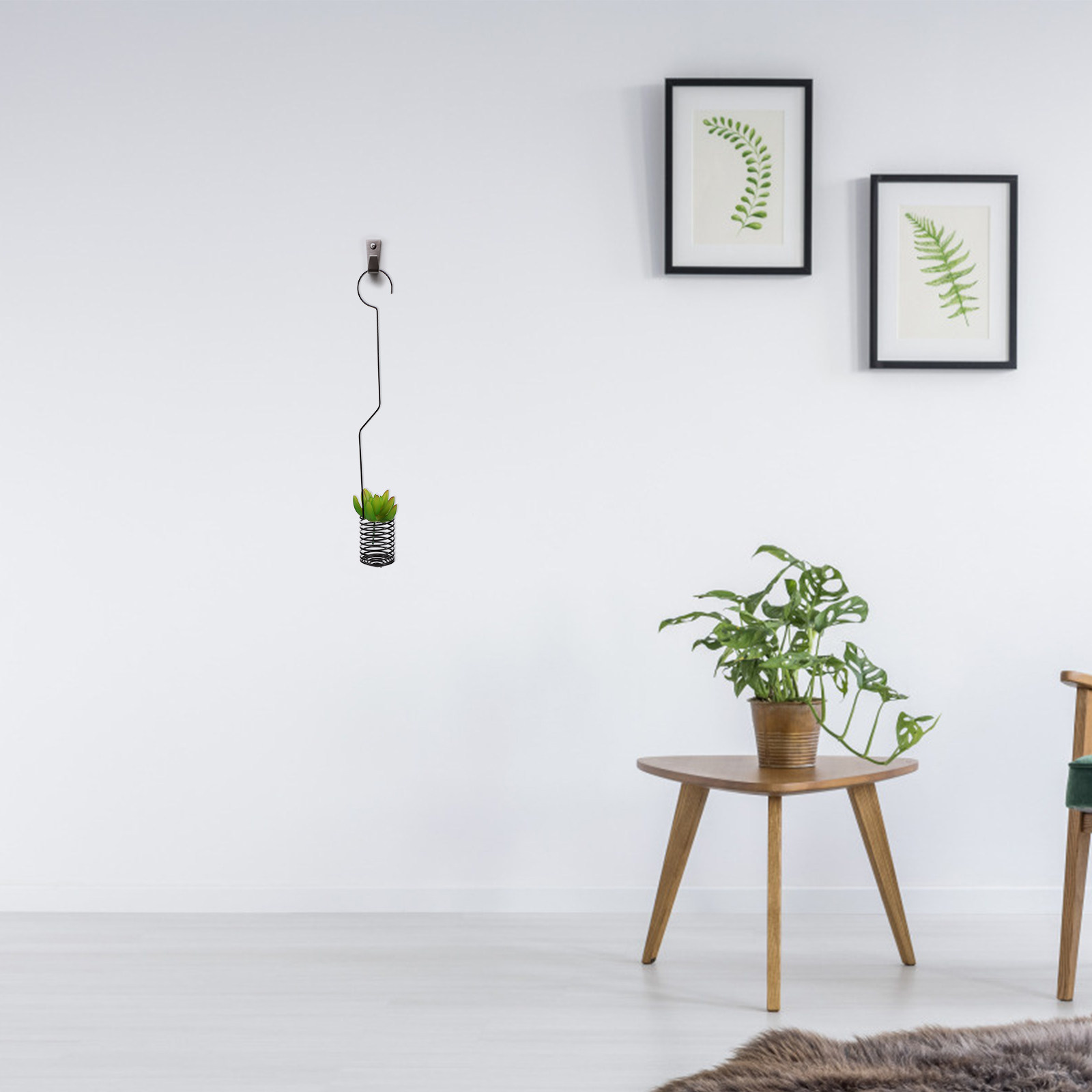 1 pieza de soporte decorativo  - Air Plant Tillandsia reseña y precio