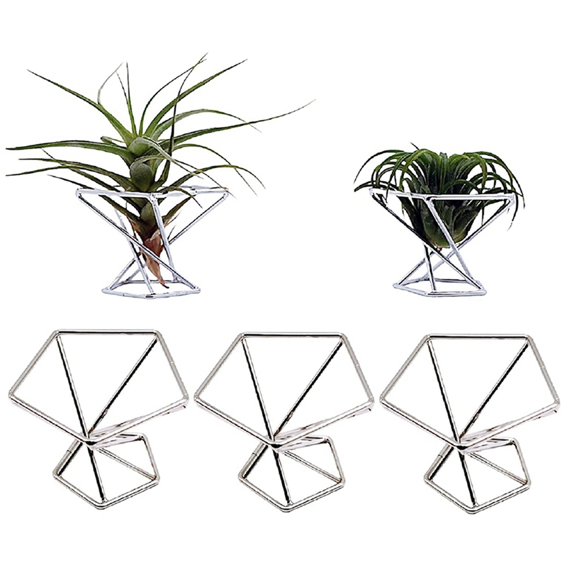 Paquete de 5 Soportes para Pla - Air Plant Tillandsia reseña y precio