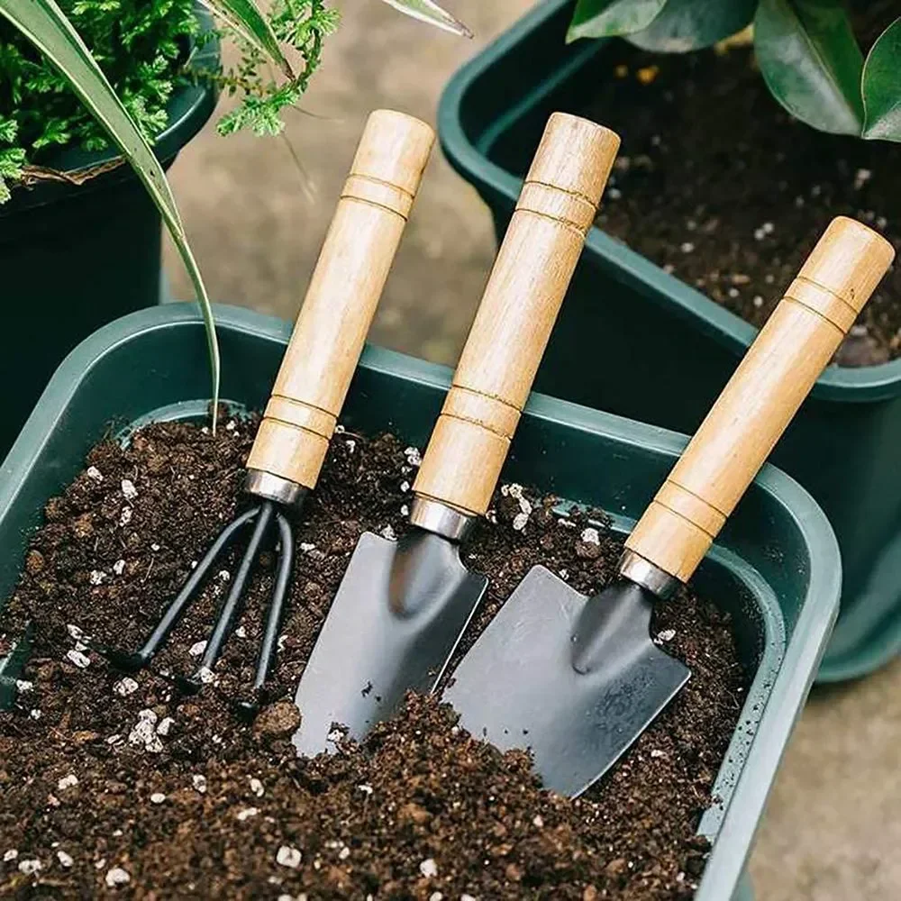 Juego de 3 Herramientas de Jar - Plant Parent Tools reseña y precio