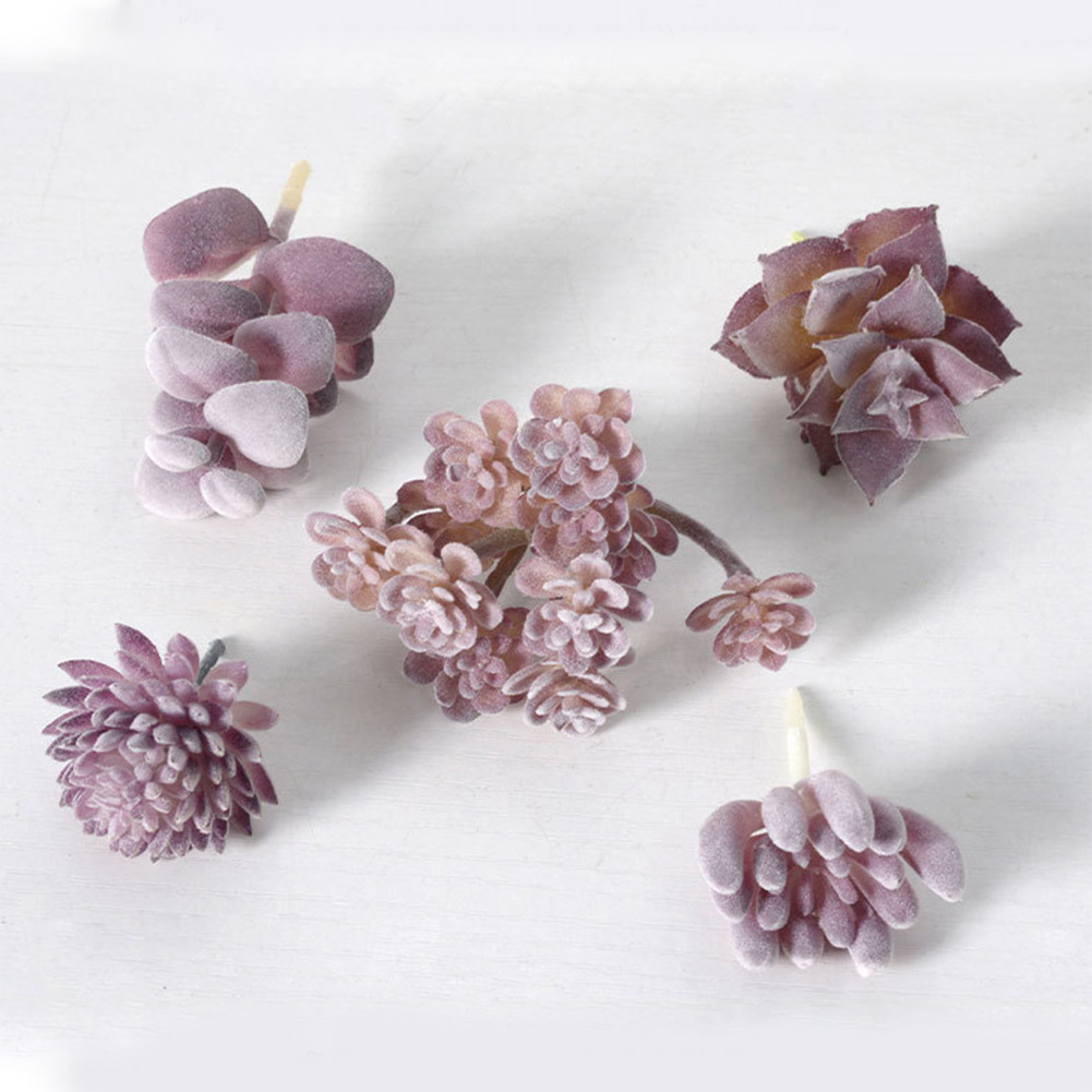 Encantadora maceta redonda con - Succulent Arrangement Mini reseña y precio