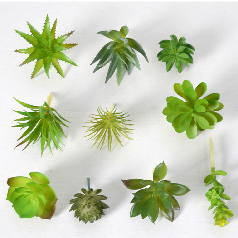 Encantadora maceta redonda con - Succulent Arrangement Mini reseña y precio