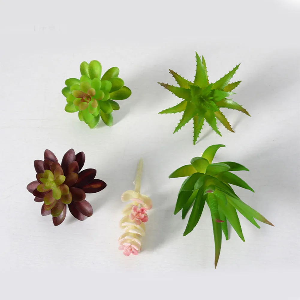 Encantador Arreglo de Mini Bon - Succulent Arrangement Mini reseña y precio