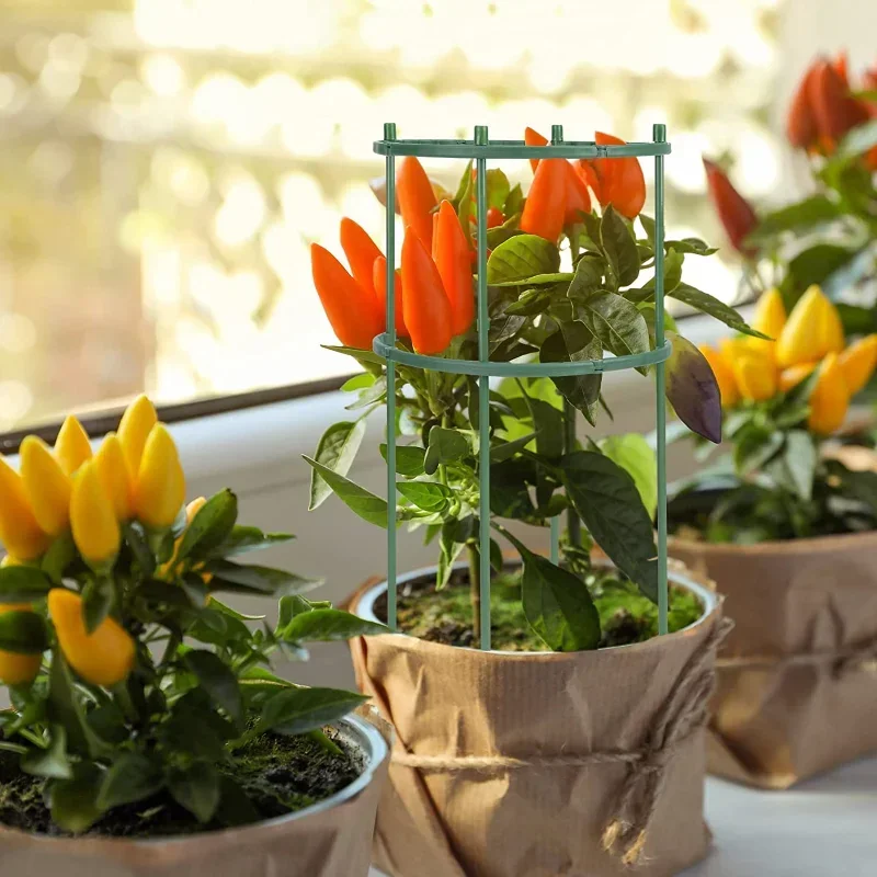 Soporte de plástico para plant - Plant Parent Tools reseña y precio