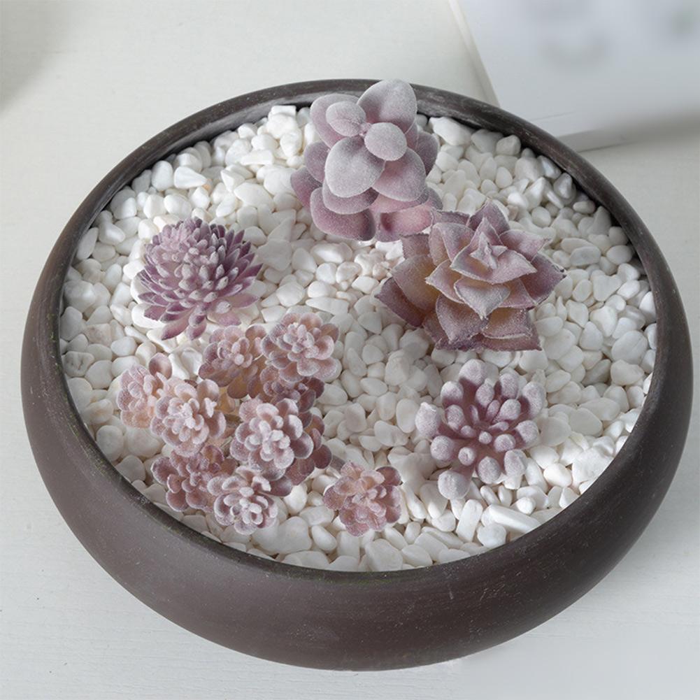 Accesorio de Fotografía Ideal  - Succulent Arrangement Mini reseña y precio