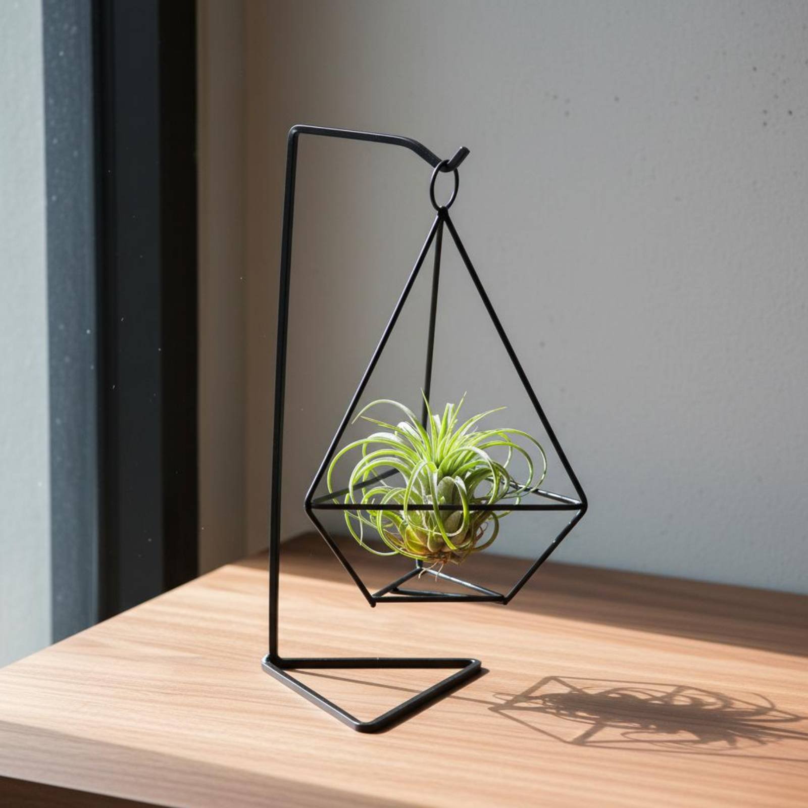 Soporte Geométrico para Planta - Air Plant Tillandsia reseña y precio
