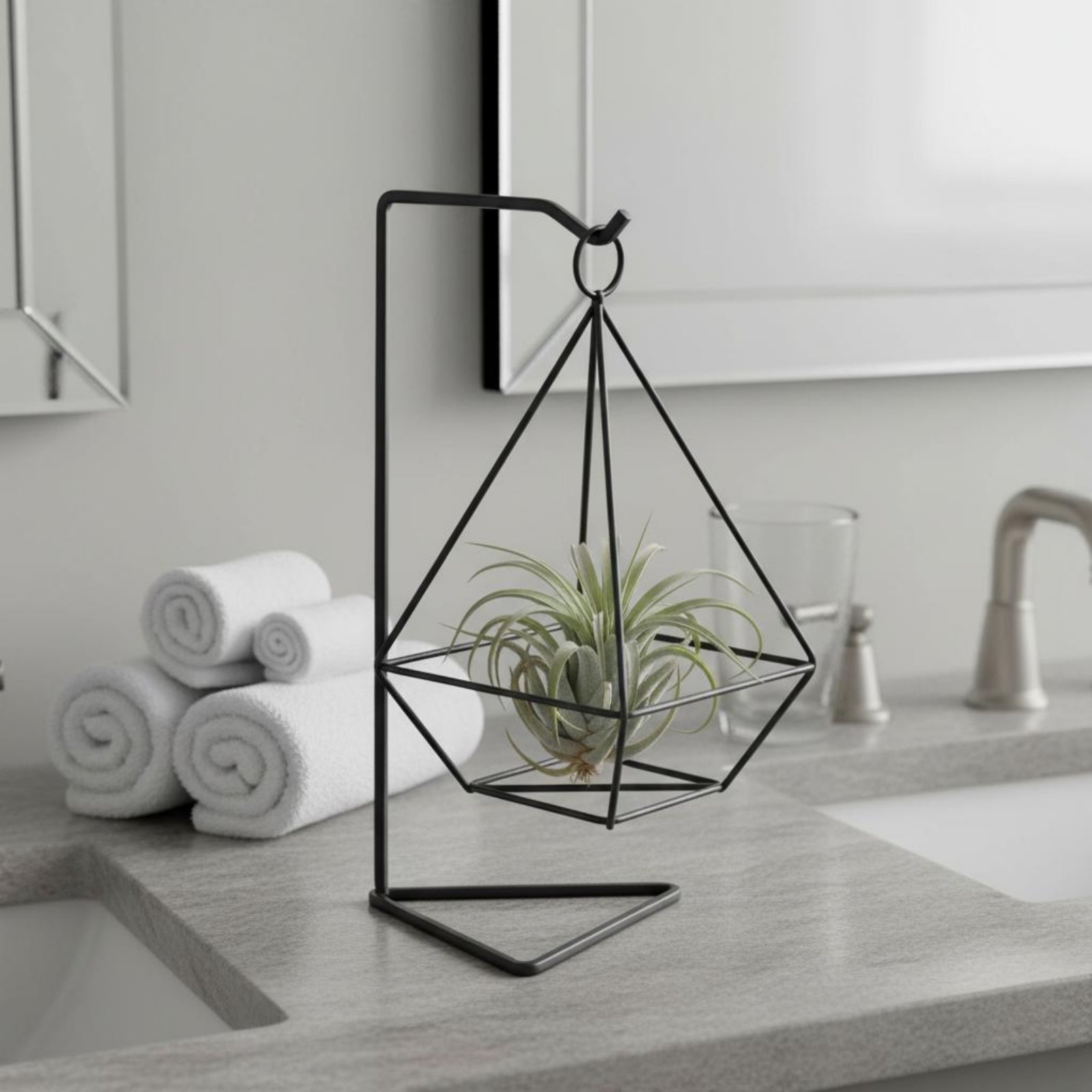 Soporte Geométrico para Planta - Air Plant Tillandsia reseña y precio