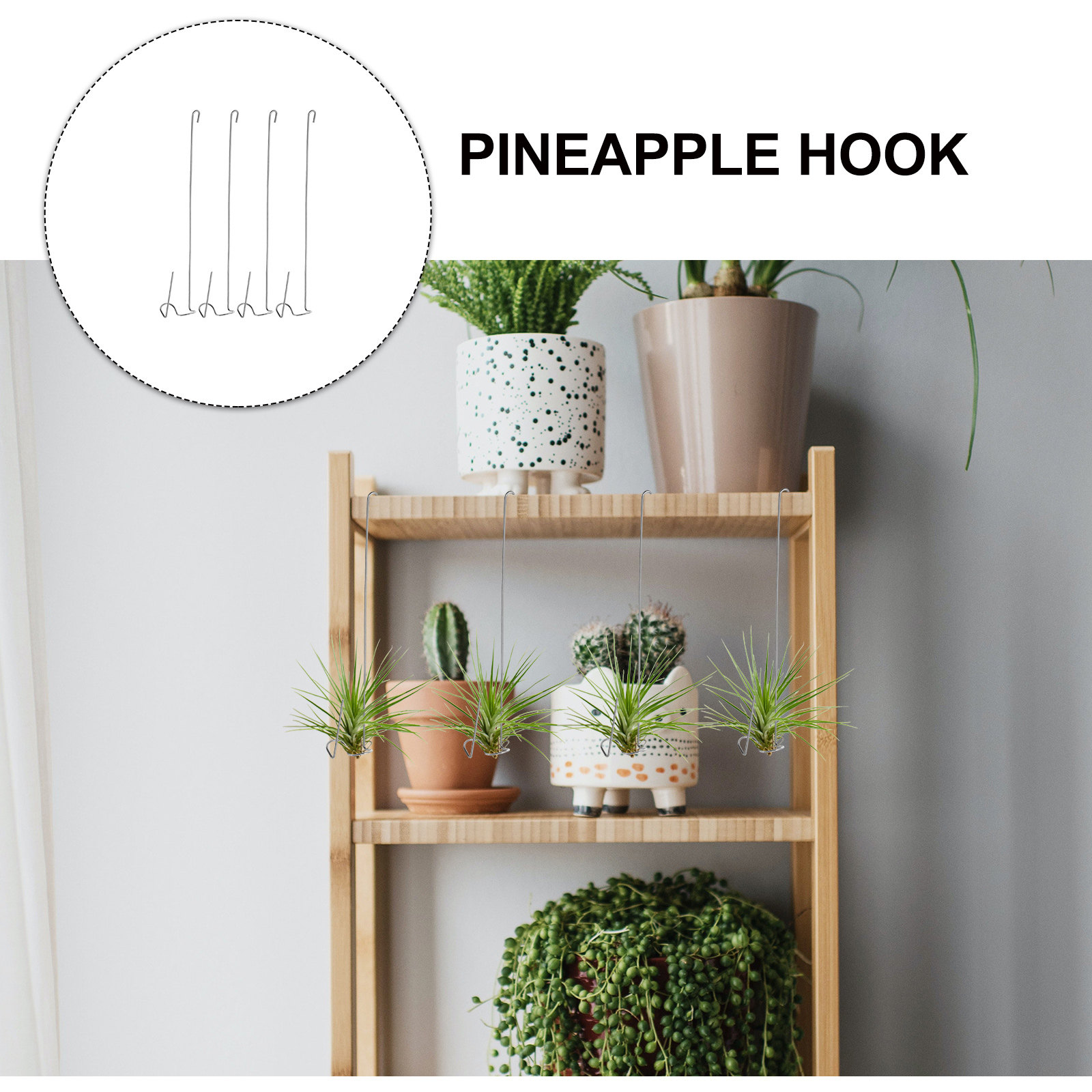 4 Ganchos de Acero Inoxidable  - Air Plant Tillandsia reseña y precio