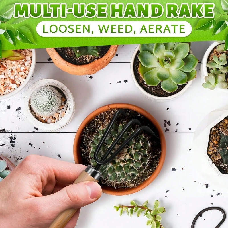 Juego de 3 Piezas/1 Set de Her - Plant Parent Tools reseña y precio