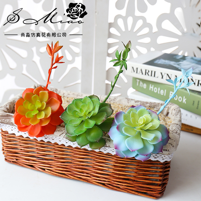 Wusmart Zhong Shi Lian plantas - Succulent Arrangement Mini reseña y precio
