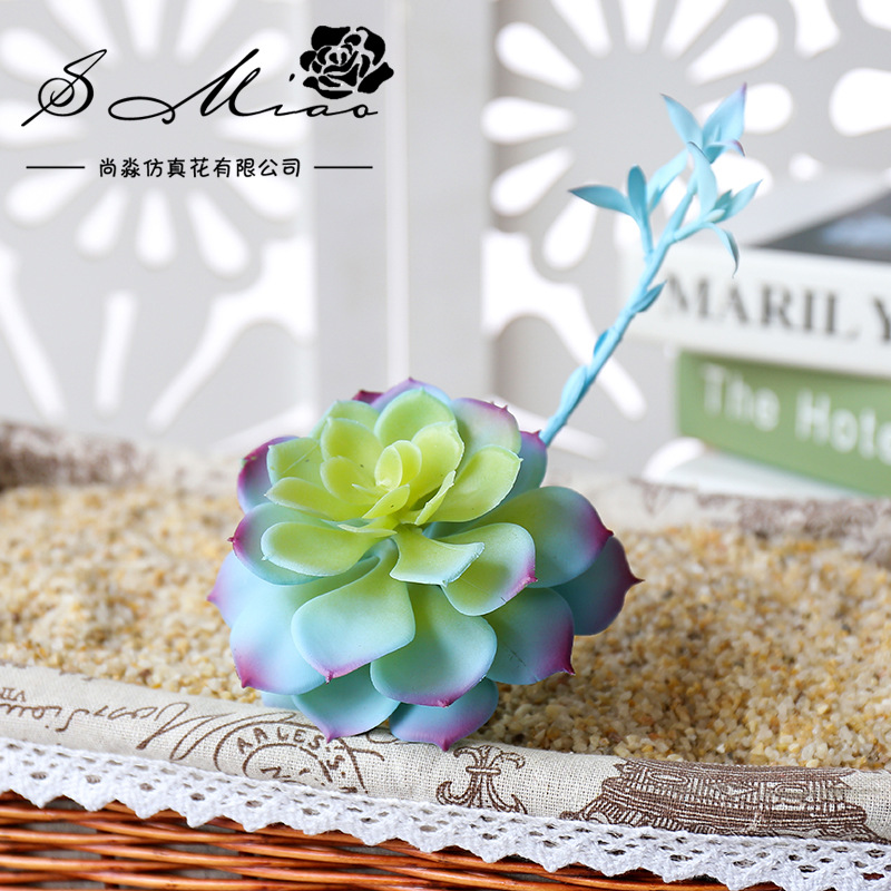 Wusmart Zhong Shi Lian plantas - Succulent Arrangement Mini reseña y precio