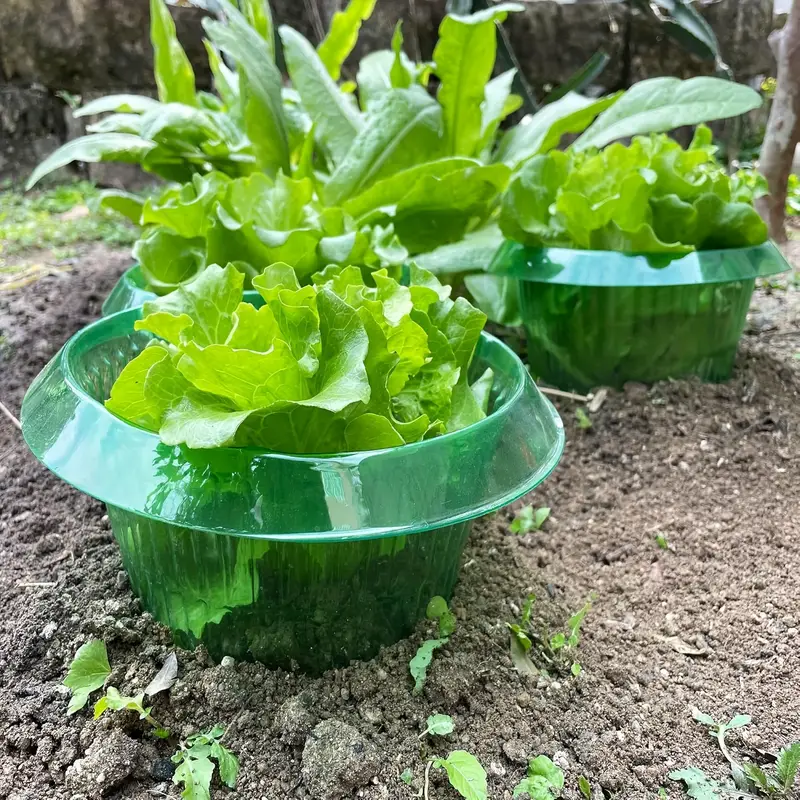 Anillos de protección de lodo  - Plant Parent Tools reseña y precio