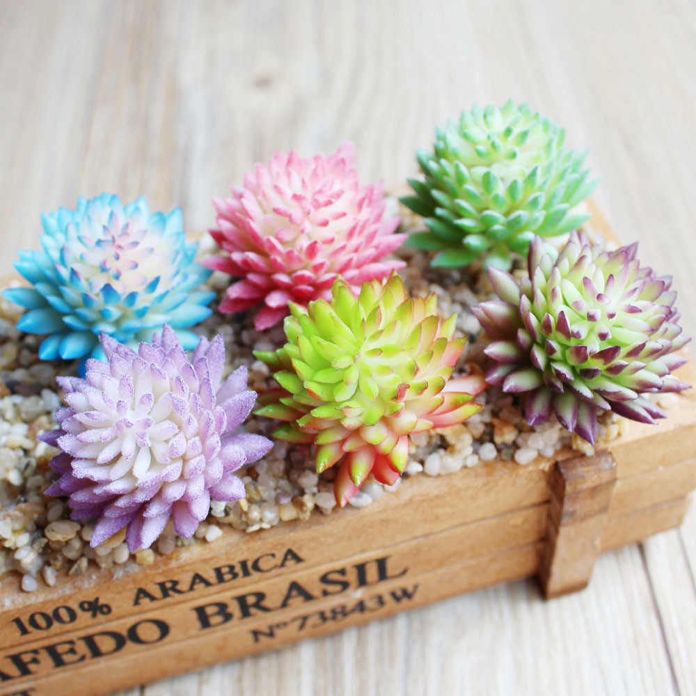 Wusmart Ji Wa Lian plantas suc - Succulent Arrangement Mini reseña y precio