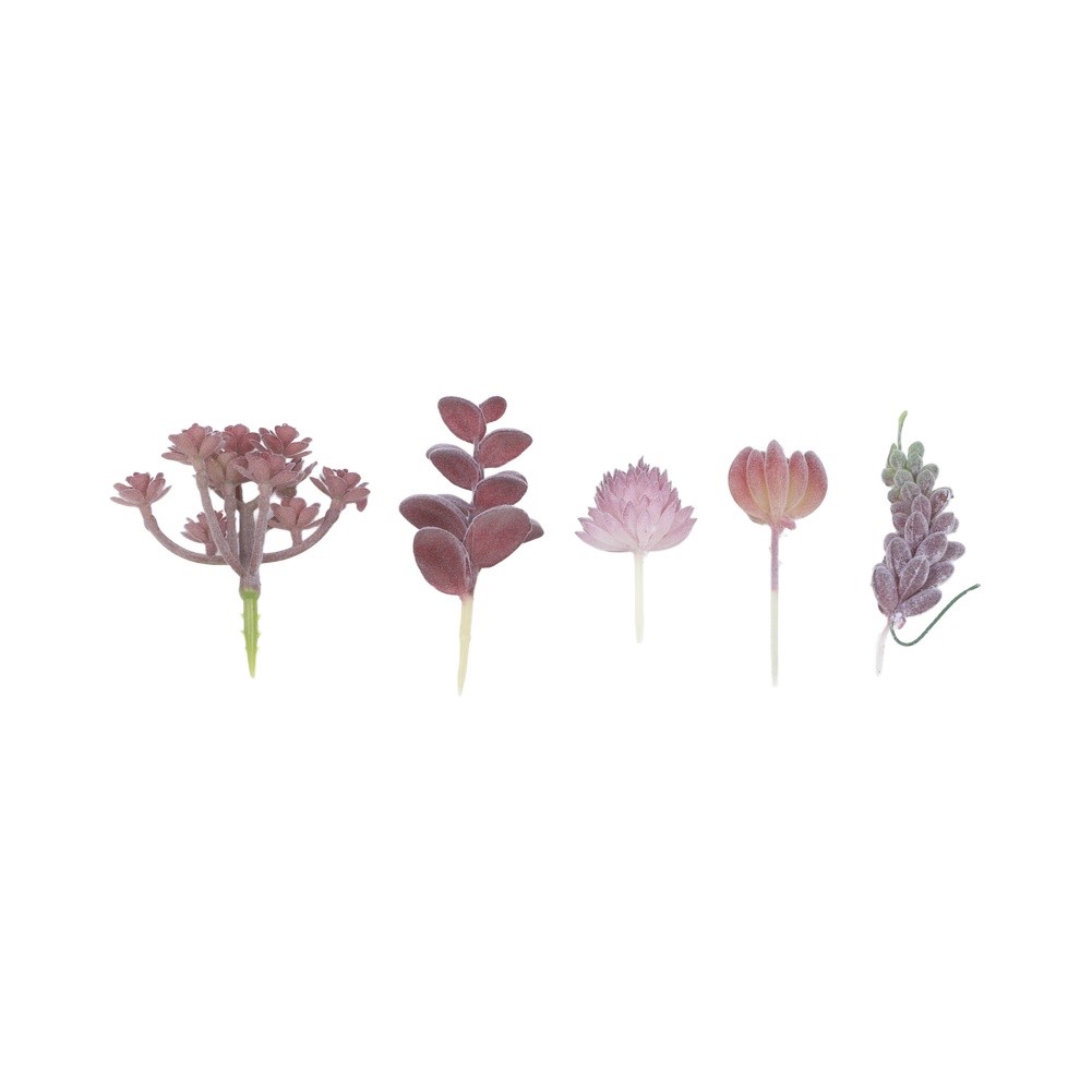 Arreglo de Suculentas Artifici - Succulent Arrangement Mini reseña y precio