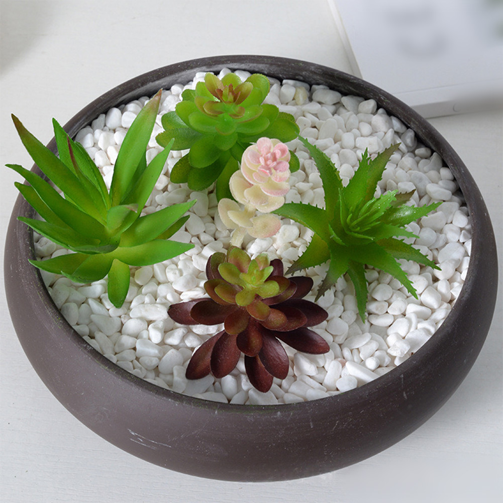 Arreglo de Suculentas Artifici - Succulent Arrangement Mini reseña y precio